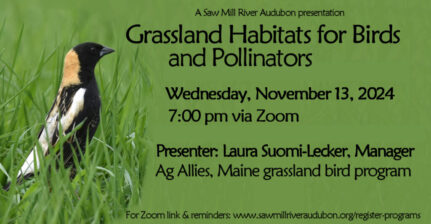 Grasslands-Program-Nov-2024