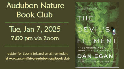 Book-Club-Jan-2025