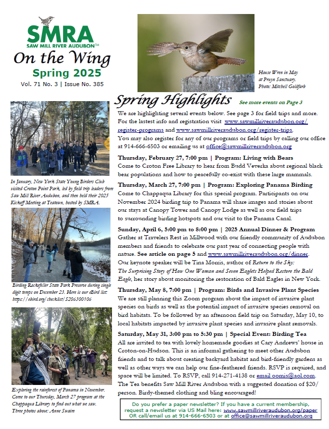 click above to download our latest newsletter